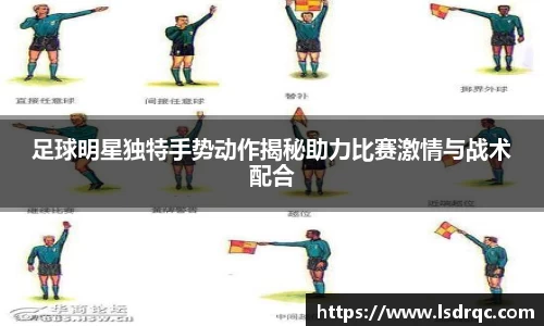 yy体育