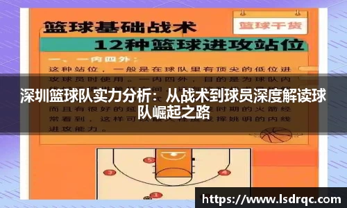 深圳篮球队实力分析:从战术到球员深度解读球队崛起之路