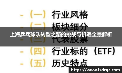 上海乒乓球队转型之路的挑战与机遇全景解析