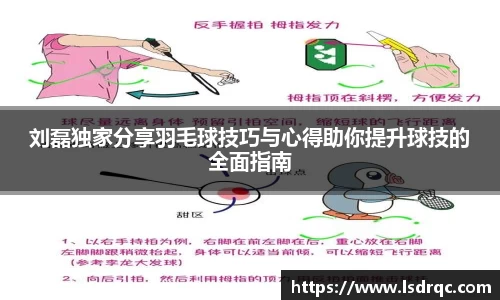 刘磊独家分享羽毛球技巧与心得助你提升球技的全面指南